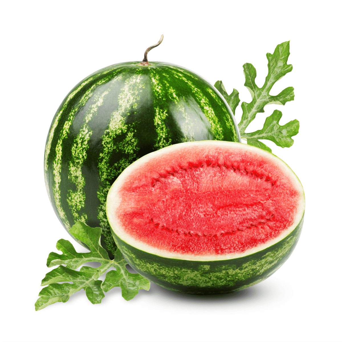 Karpuz